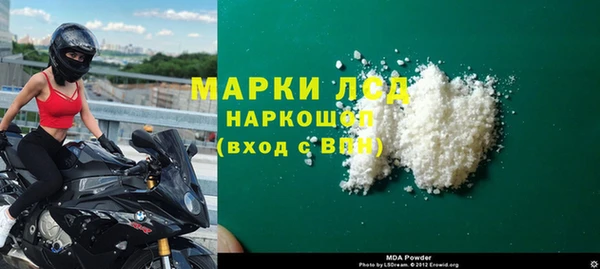 прущие грибы Аркадак