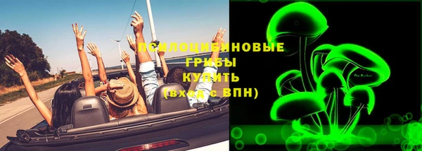 прущие грибы Аркадак