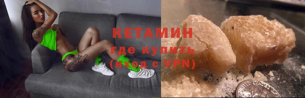прущие грибы Аркадак
