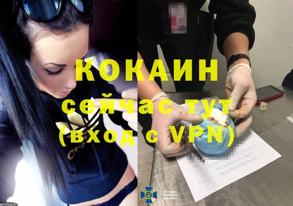 прущие грибы Аркадак