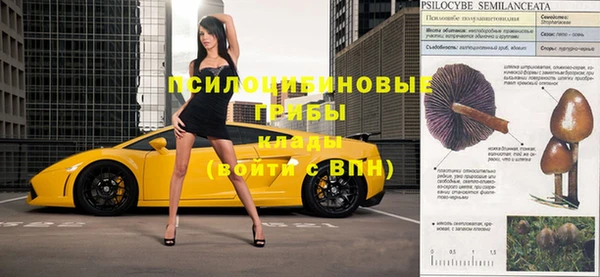 прущие грибы Арсеньев