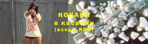 прущие грибы Аркадак