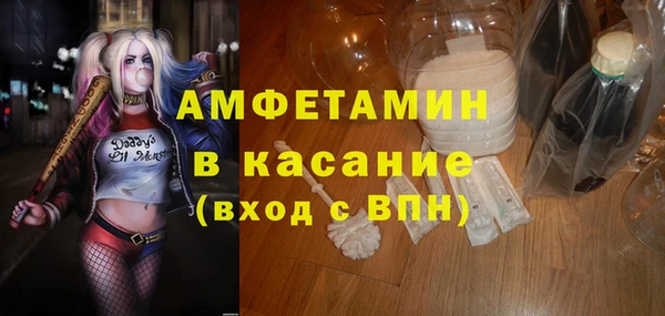 прущие грибы Аркадак