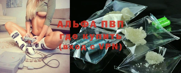 прущие грибы Арсеньев
