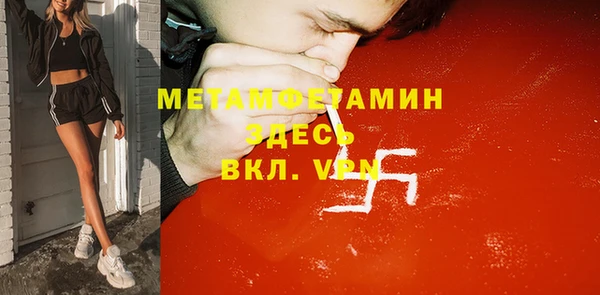 прущие грибы Аркадак
