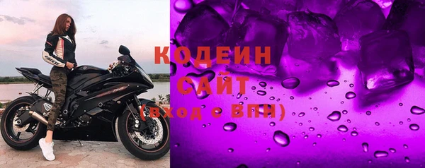 прущие грибы Арсеньев
