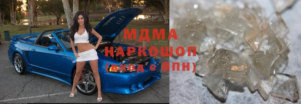 прущие грибы Аркадак