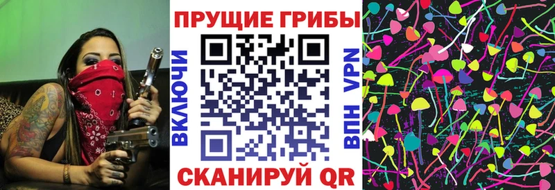 Псилоцибиновые грибы Psilocybine cubensis  Купить где  Ворсма 